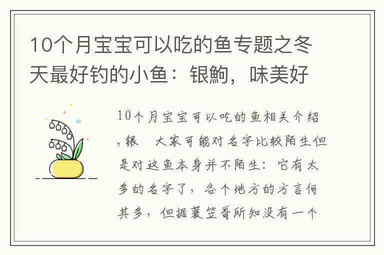 10个月宝宝可以吃的鱼专题之冬天最好钓的小鱼：银鮈，味美好钓分布广