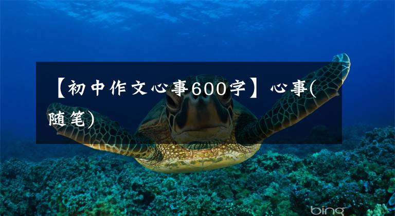 【初中作文心事600字】心事(随笔)