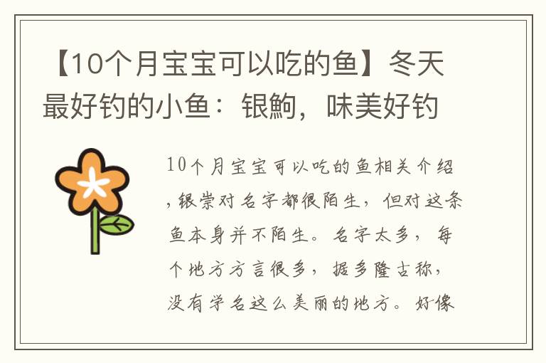 【10个月宝宝可以吃的鱼】冬天最好钓的小鱼：银鮈，味美好钓分布广