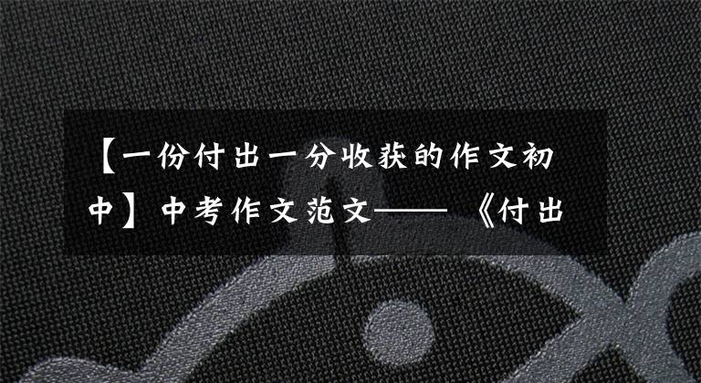 【一份付出一分收获的作文初中】中考作文范文—— 《付出与收获》