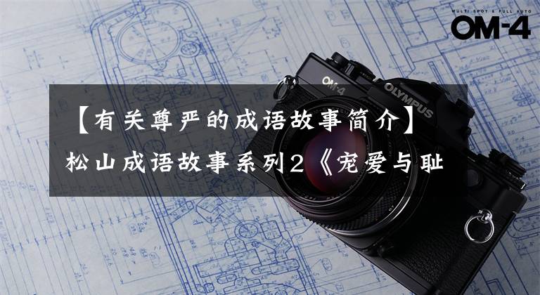 【有关尊严的成语故事简介】松山成语故事系列2《宠爱与耻辱》