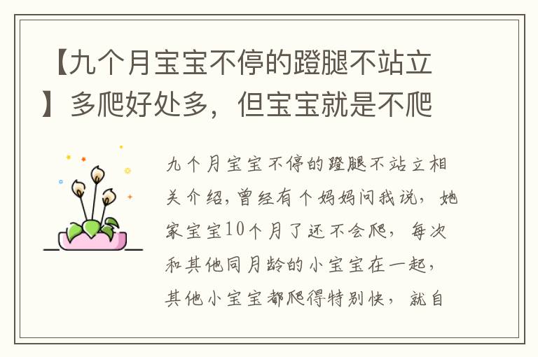 【九个月宝宝不停的蹬腿不站立】多爬好处多，但宝宝就是不爬怎么办？要尊重宝宝的个性发展