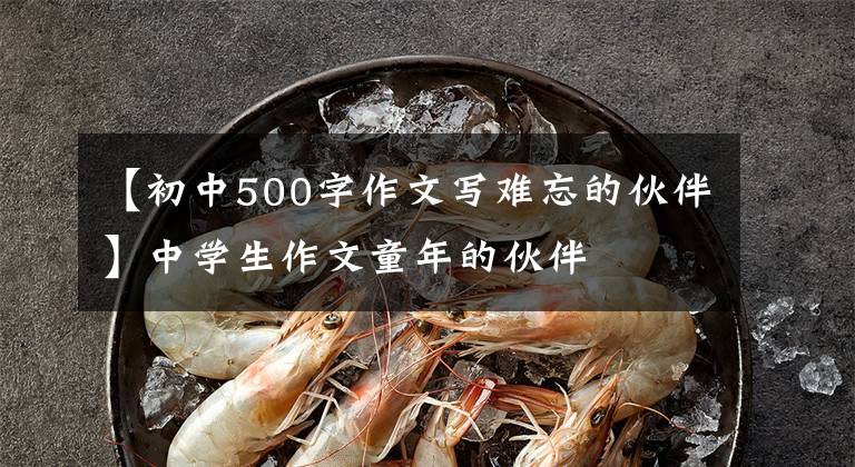 【初中500字作文写难忘的伙伴】中学生作文童年的伙伴