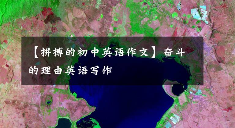【拼搏的初中英语作文】奋斗的理由英语写作