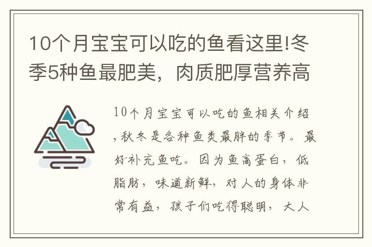 10个月宝宝可以吃的鱼看这里!冬季5种鱼最肥美，肉质肥厚营养高，常吃健脑记性好，孩子要多吃