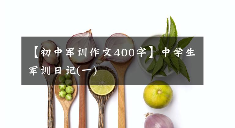 【初中军训作文400字】中学生军训日记(一)