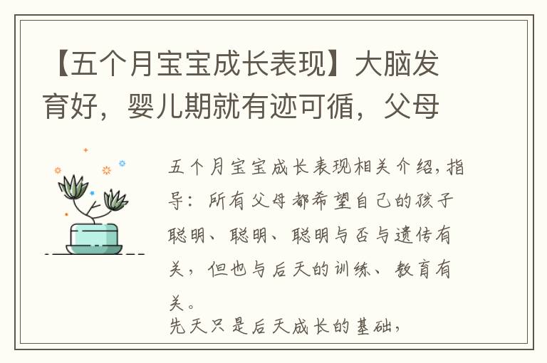 【五个月宝宝成长表现】大脑发育好，婴儿期就有迹可循，父母留意宝宝是否有这几个反应