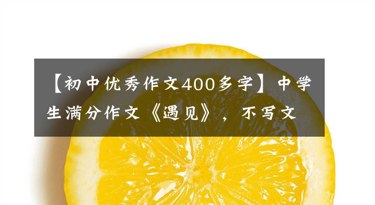 【初中优秀作文400多字】中学生满分作文《遇见》,不写文章就变身事物,构思惊人。