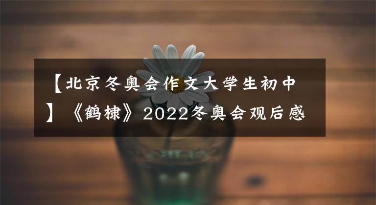 【北京冬奥会作文大学生初中】《鹤棣》2022冬奥会观后感(6)