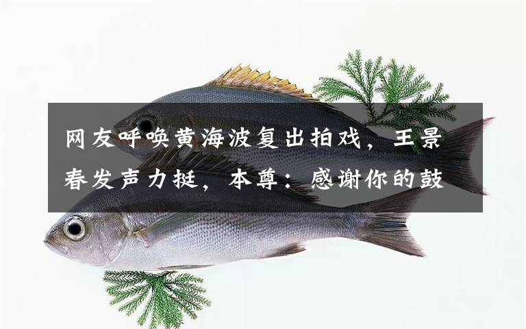 网友呼唤黄海波复出拍戏，王景春发声力挺，本尊：感谢你的鼓励 黄海波详细资料