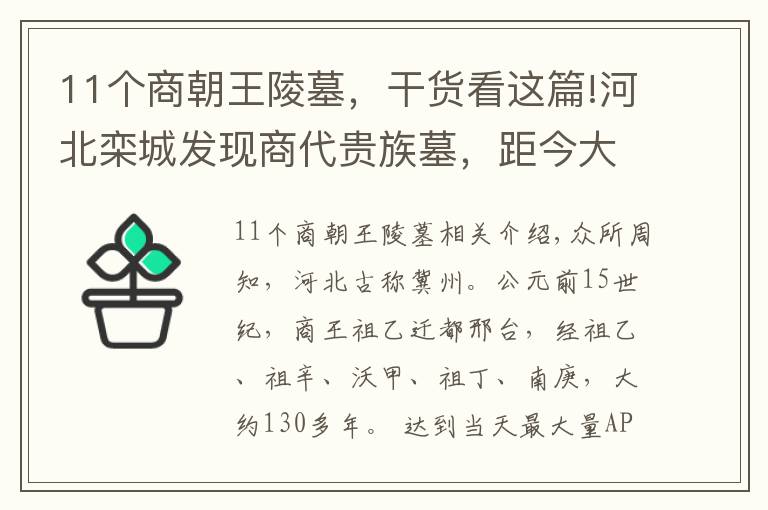 11个商朝王陵墓，干货看这篇!河北栾城发现商代贵族墓，距今大约三千多年，填补了历史考古空白