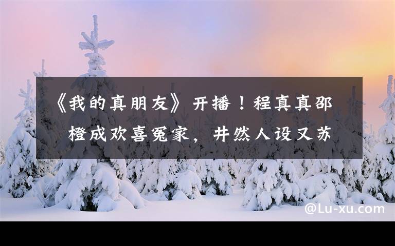 《我的真朋友》开播！程真真邵芃橙成欢喜冤家，井然人设又苏又帅