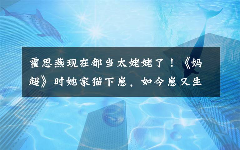 霍思燕现在都当太姥姥了！《妈超》时她家猫下崽，如今崽又生崽啦