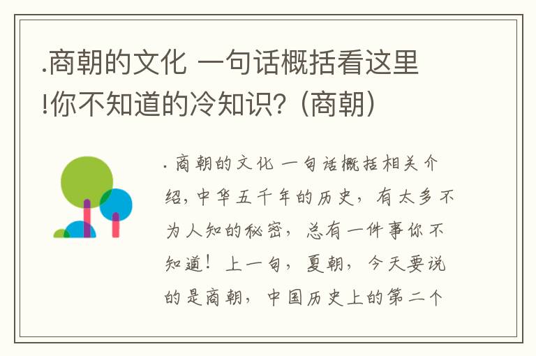 .商朝的文化 一句话概括看这里!你不知道的冷知识？(商朝)
