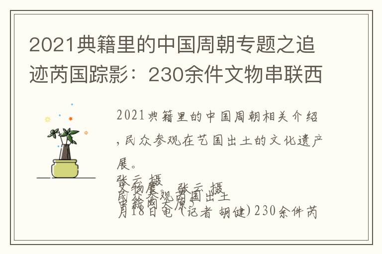 2021典籍里的中国周朝专题之追迹芮国踪影：230余件文物串联西周“往事”