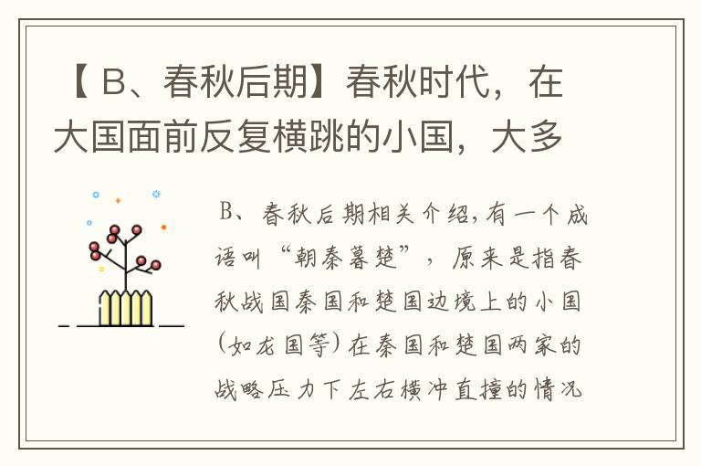 【 B、春秋后期】春秋时代，在大国面前反复横跳的小国，大多结局悲惨