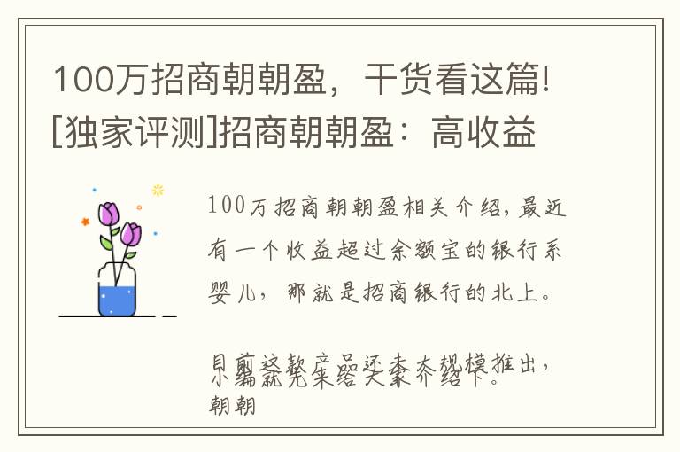 100万招商朝朝盈，干货看这篇![独家评测]招商朝朝盈：高收益亮眼