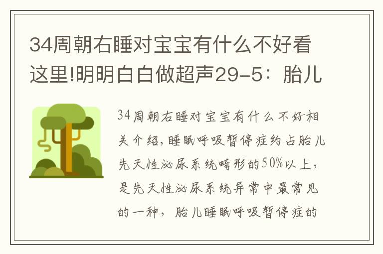 34周朝右睡对宝宝有什么不好看这里!明明白白做超声29-5：胎儿泌尿系统梗阻1-肾积水