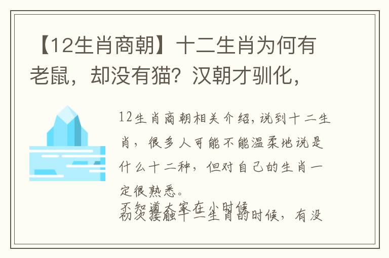 【12生肖商朝】十二生肖为何有老鼠，却没有猫？汉朝才驯化，时间太晚了