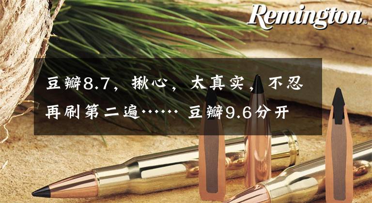 豆瓣8.7，揪心，太真实，不忍再刷第二遍…… 豆瓣9.6分开头已成经典