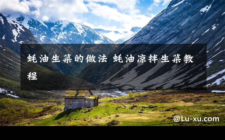 蚝油生菜的做法 蚝油凉拌生菜教程