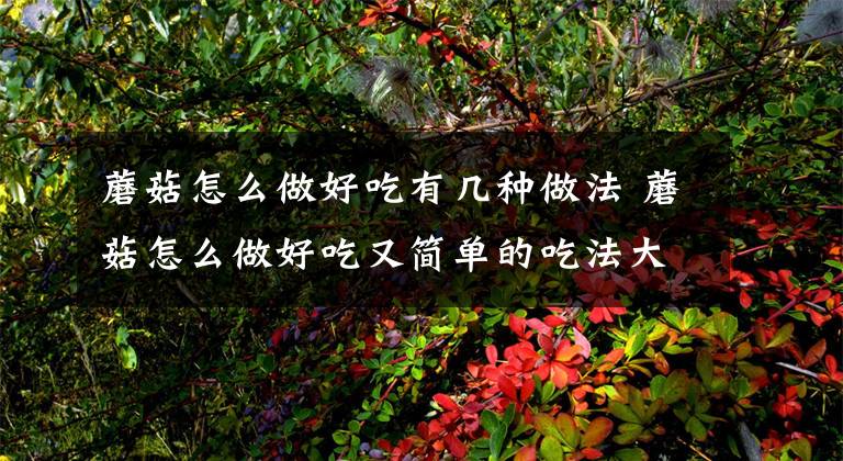 蘑菇怎么做好吃有几种做法 蘑菇怎么做好吃又简单的吃法大全