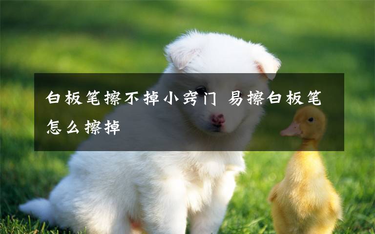 白板笔擦不掉小窍门 易擦白板笔怎么擦掉