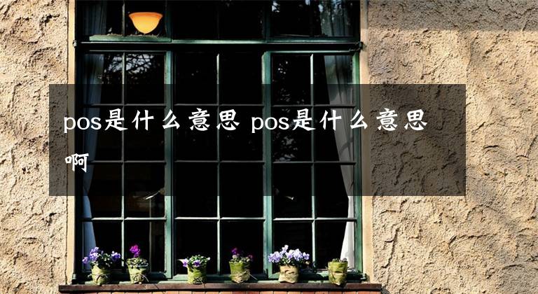 pos是什么意思 pos是什么意思啊