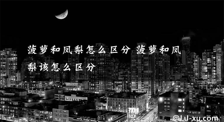 菠萝和凤梨怎么区分 菠萝和凤梨该怎么区分