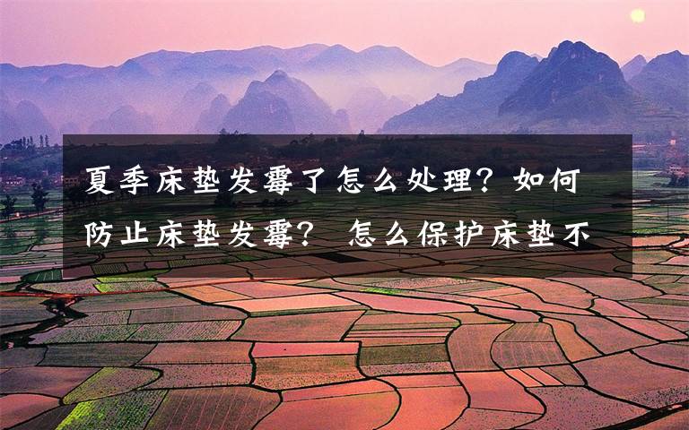 夏季床垫发霉了怎么处理？如何防止床垫发霉？ 怎么保护床垫不受潮不发霉