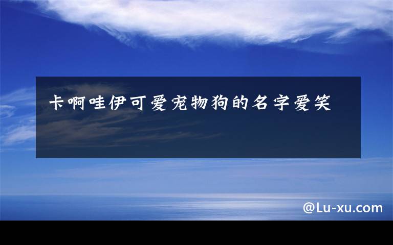 卡啊哇伊可爱宠物狗的名字爱笑