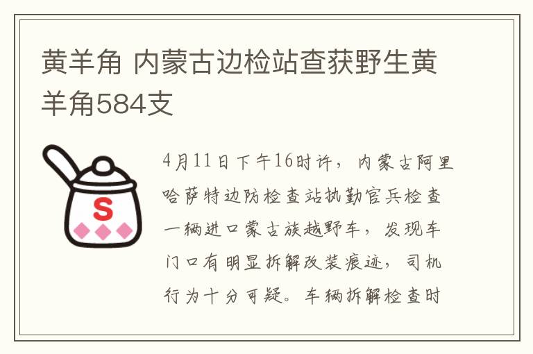 黄羊角 内蒙古边检站查获野生黄羊角584支