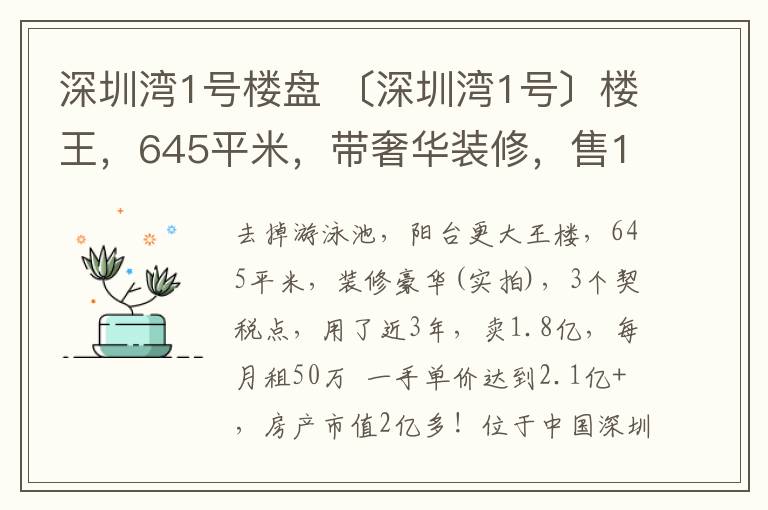 深圳湾1号楼盘 〔深圳湾1号〕楼王，645平米，带奢华装修，售1.8亿。