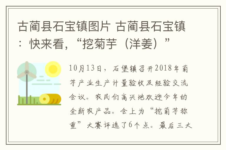 古蔺县石宝镇图片 古蔺县石宝镇：快来看，“挖菊芋（洋姜）”比赛开始啦