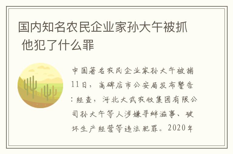 国内知名农民企业家孙大午被抓 他犯了什么罪