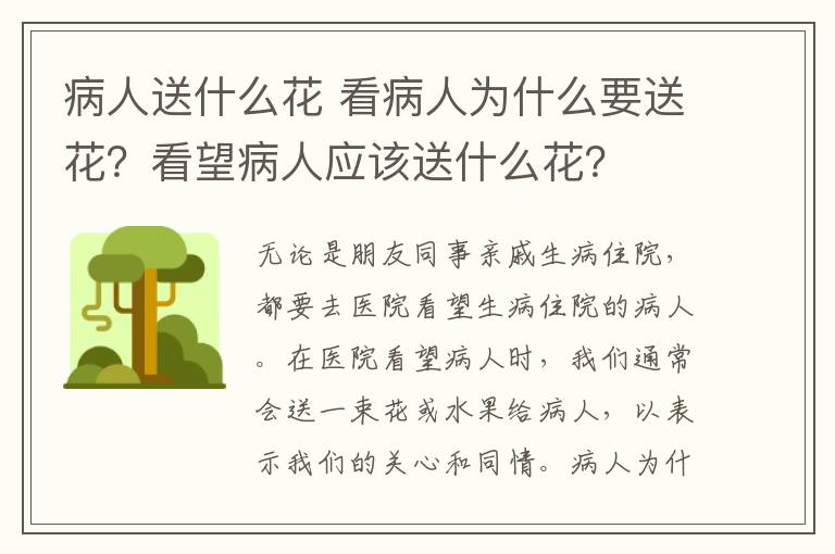 病人送什么花 看病人为什么要送花？看望病人应该送什么花？