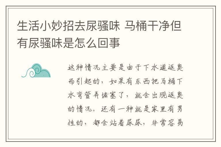 生活小妙招去尿骚味 马桶干净但有尿骚味是怎么回事