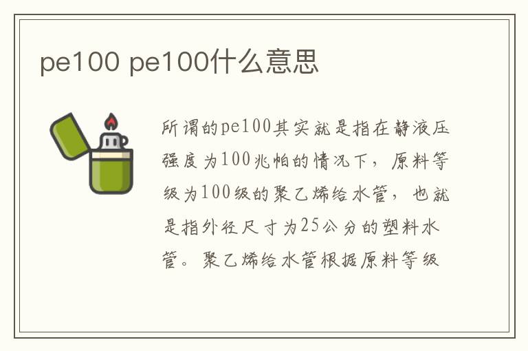 pe100 pe100什么意思