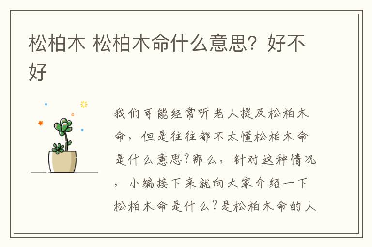 松柏木 松柏木命什么意思？好不好