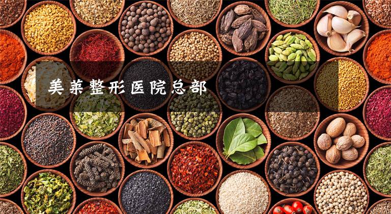 美莱整形医院总部
