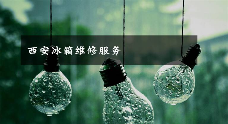 西安冰箱维修服务