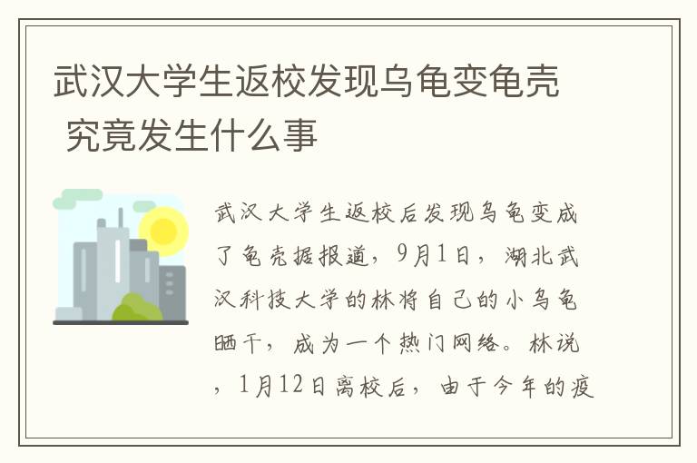 武汉大学生返校发现乌龟变龟壳 究竟发生什么事