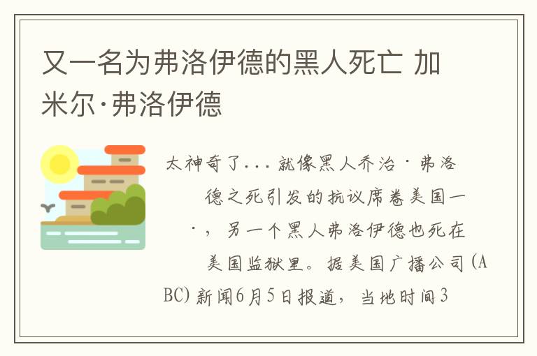 又一名为弗洛伊德的黑人死亡 加米尔·弗洛伊德