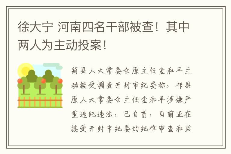 徐大宁 河南四名干部被查！其中两人为主动投案！