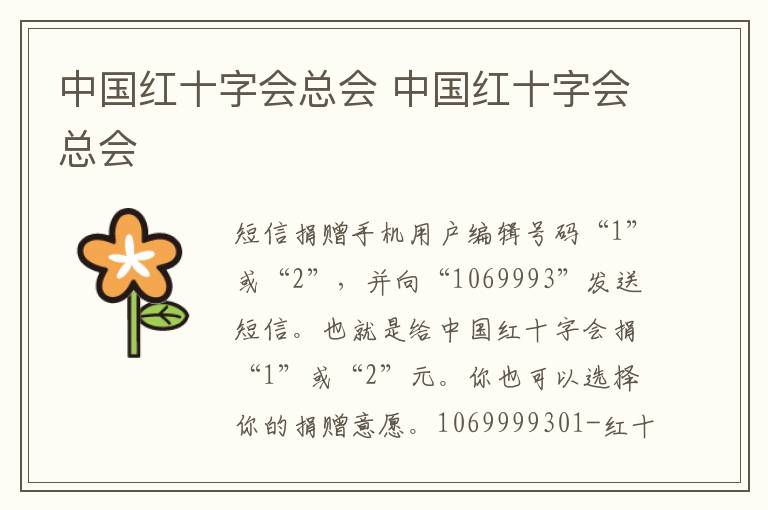 中国红十字会总会 中国红十字会总会