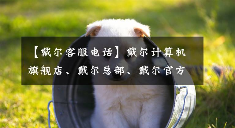 【戴尔客服电话】戴尔计算机旗舰店、戴尔总部、戴尔官方商店、戴尔售后服务