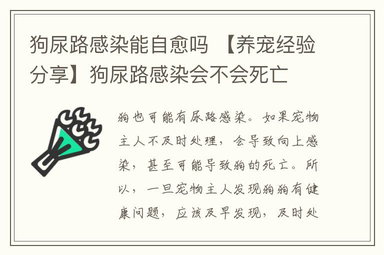 狗尿路感染能自愈吗 【养宠经验分享】狗尿路感染会不会死亡