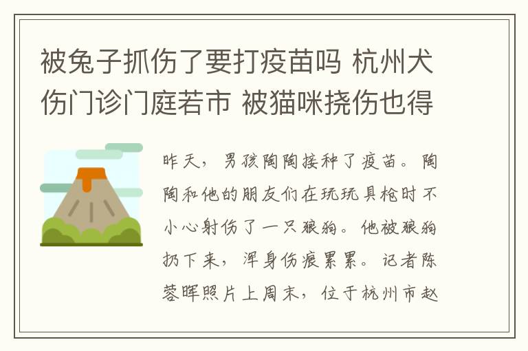 被兔子抓伤了要打疫苗吗 杭州犬伤门诊门庭若市 被猫咪挠伤也得打疫苗