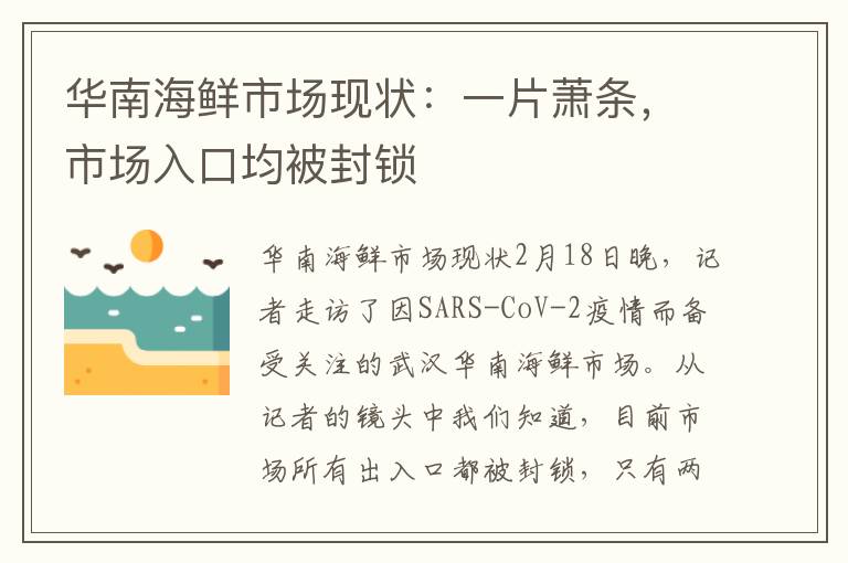 华南海鲜市场现状：一片萧条，市场入口均被封锁