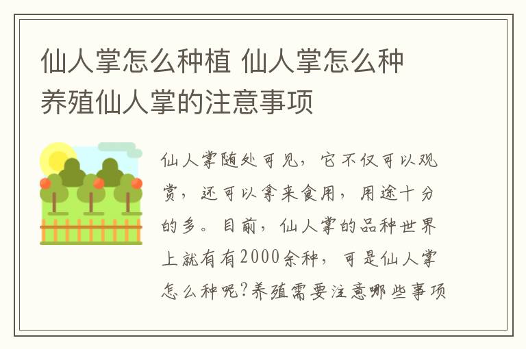 仙人掌怎么种植 仙人掌怎么种 养殖仙人掌的注意事项